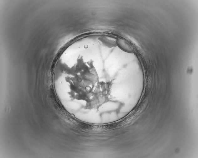 X0000093611267200711121203