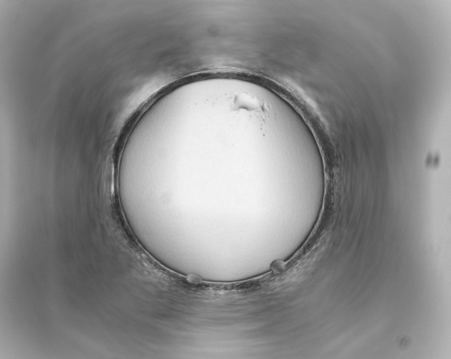 X0000093611269200711121203