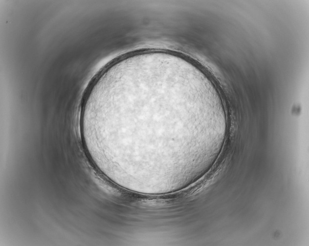 X0000093611272200711121203