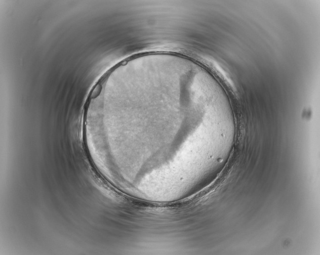 X0000093611276200711121203