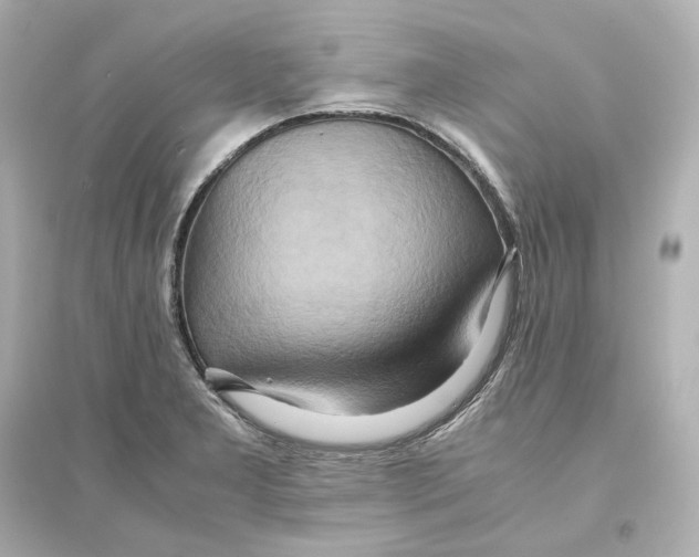 X0000093611277200711121203