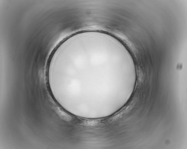 X0000093611278200711121203