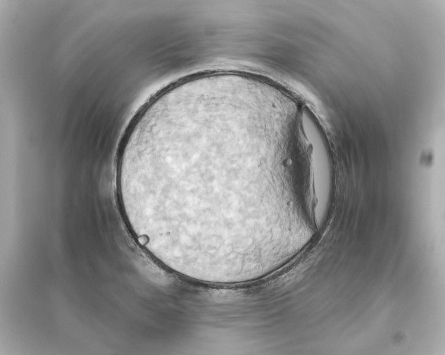 X0000093611280200711121203