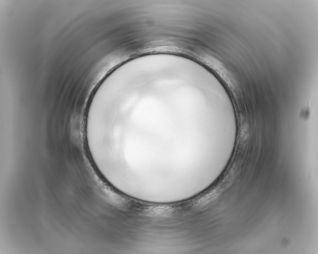 X0000093611282200711121203