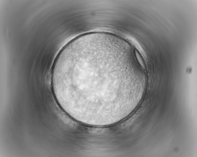 X0000093611284200711121203