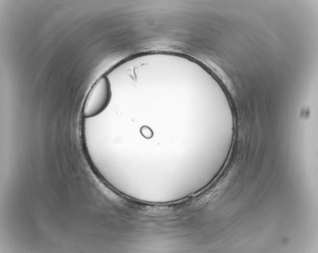 X0000093611285200711121203