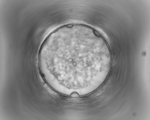 X0000093611287200711121203