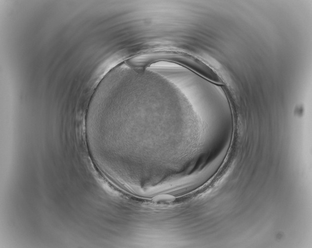 X0000093611289200711121203