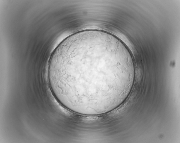X0000093611290200711121203