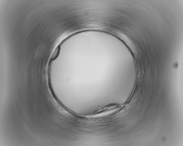 X0000093611291200711121203