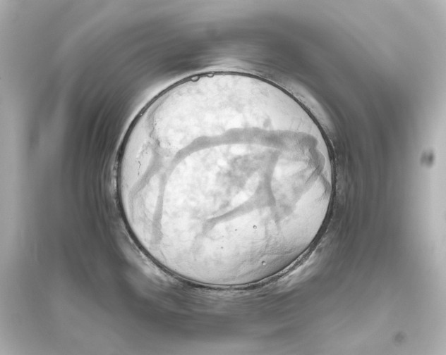 X0000093611292200711121203