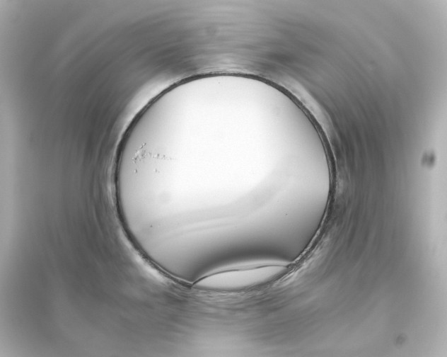 X0000093611293200711121203