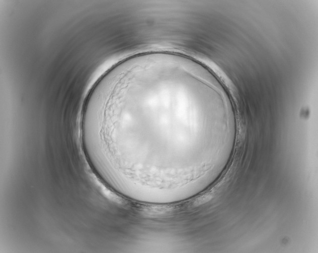 X0000093611294200711121203