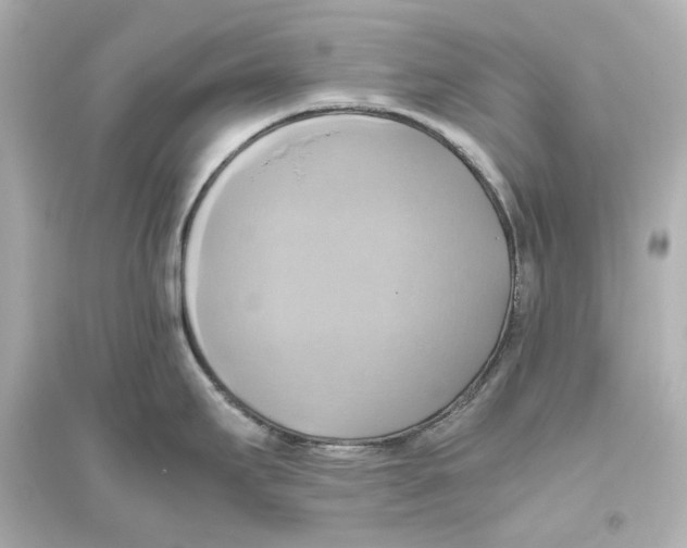 X0000093611295200711121203