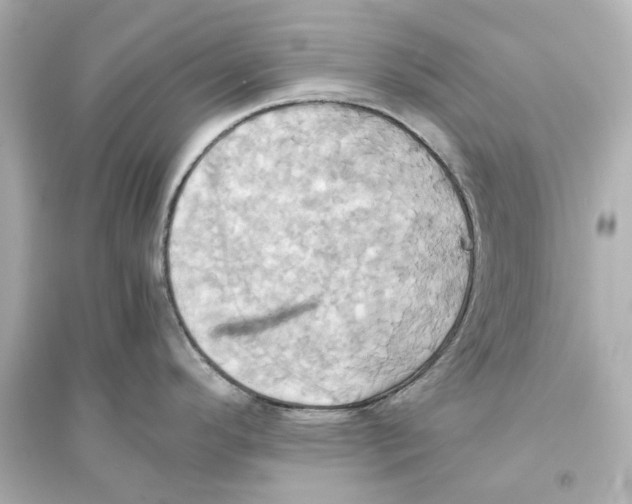 X0000093611296200711121203