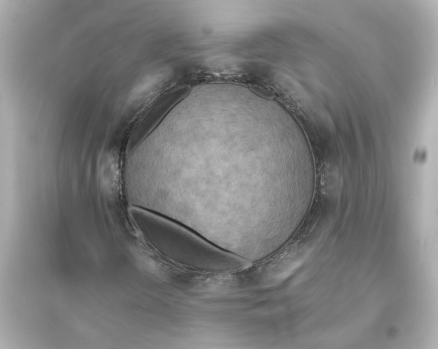 X0000093611298200711121202