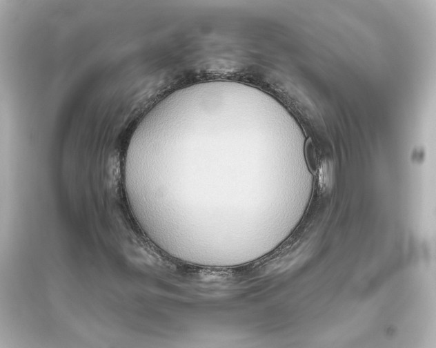 X0000093611299200711121202