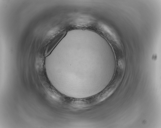 X0000093611300200711121202