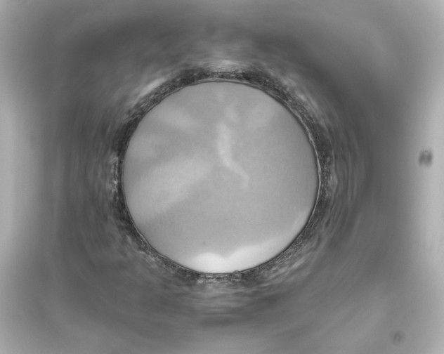 X0000093611301200711121202