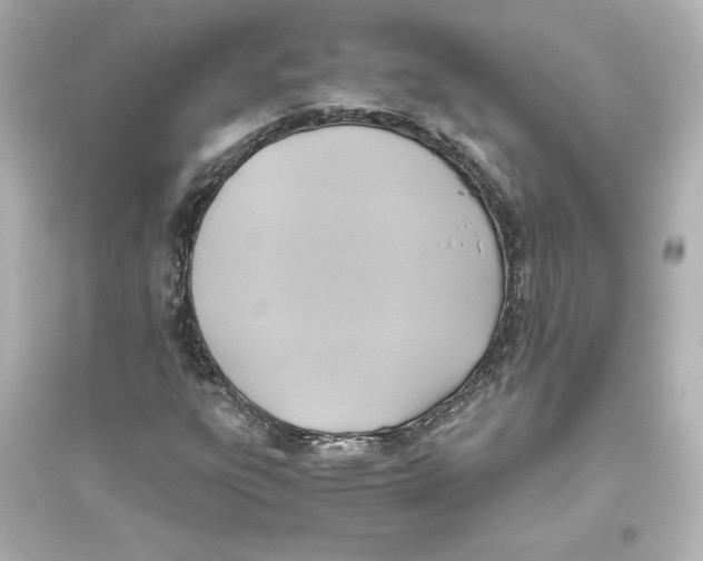 X0000093611303200711121202