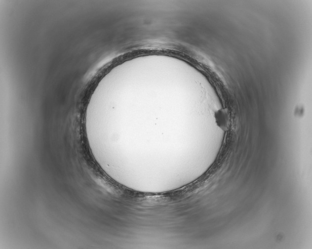 X0000093611304200711121202