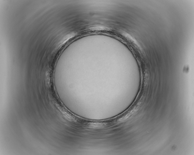 X0000093611305200711121202