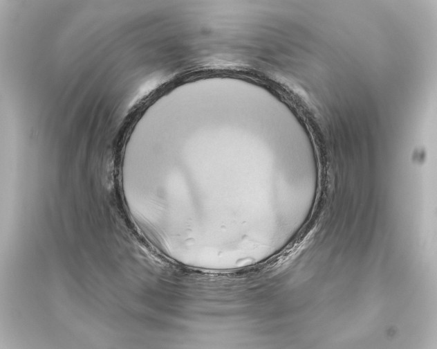 X0000093611306200711121203