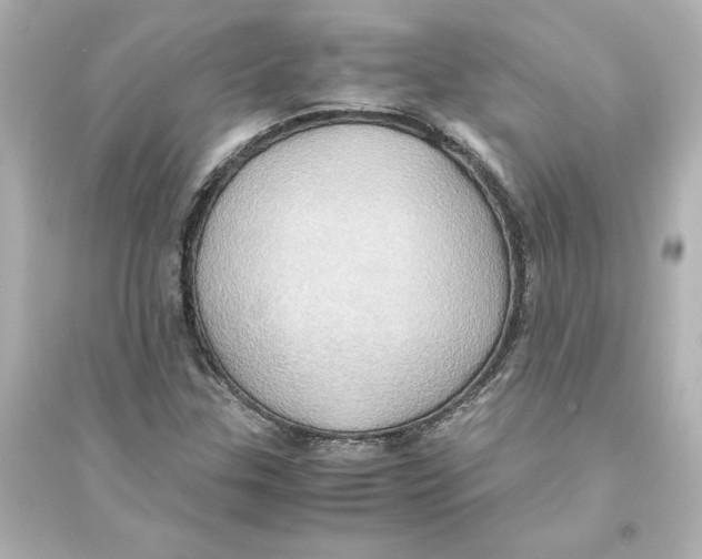 X0000093611307200711121203