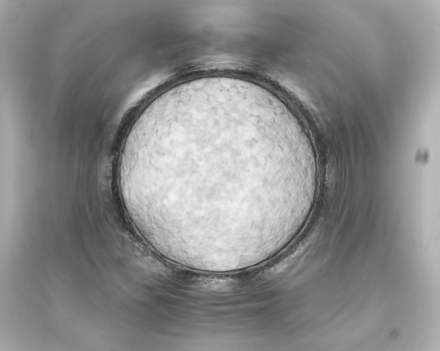 X0000093611309200711121203
