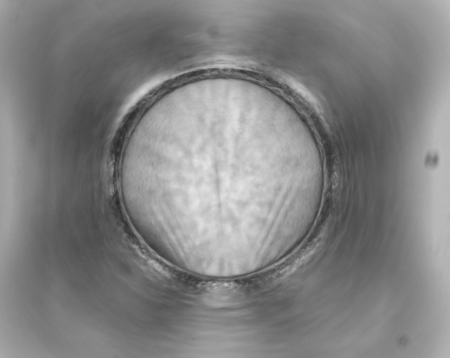 X0000093611310200711121203