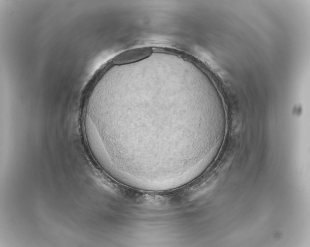 X0000093611312200711121203