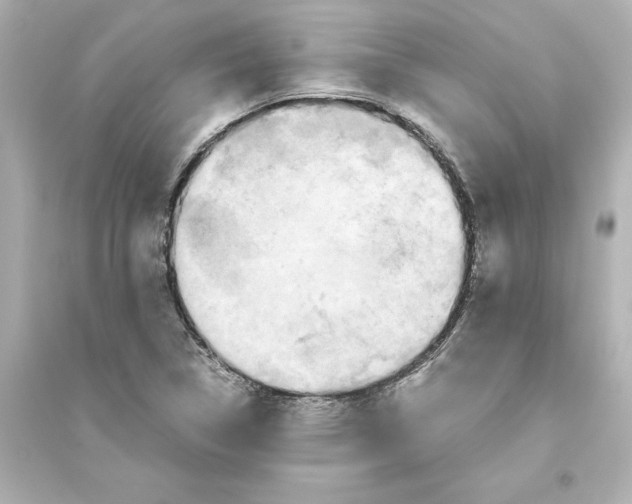 X0000093611314200711121203