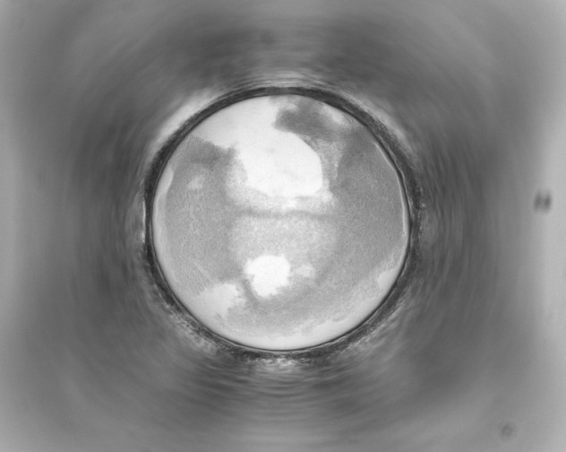 X0000093611317200711121203