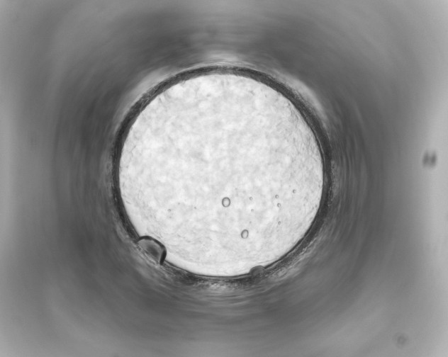 X0000093611318200711121203