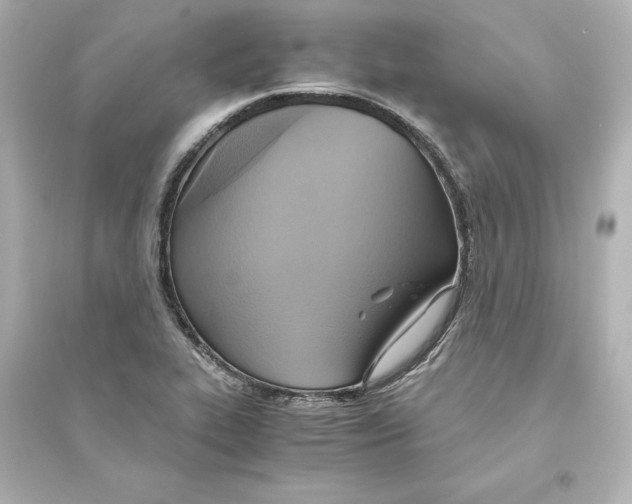 X0000093611319200711121203