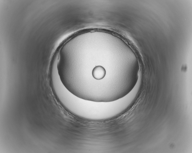 X0000093611320200711121203