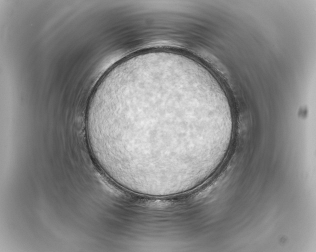 X0000093611321200711121203