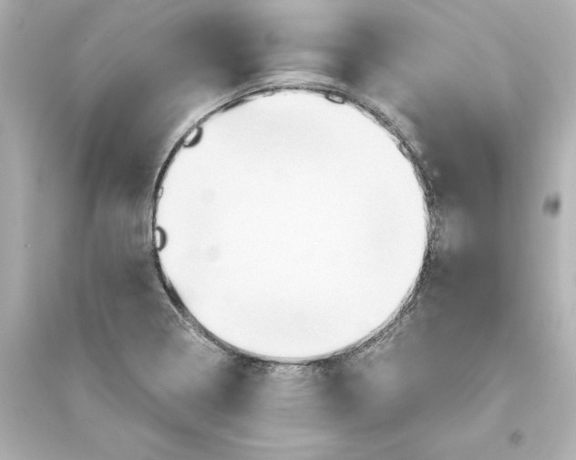 X0000093611322200711121203