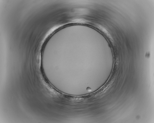 X0000093611323200711121203
