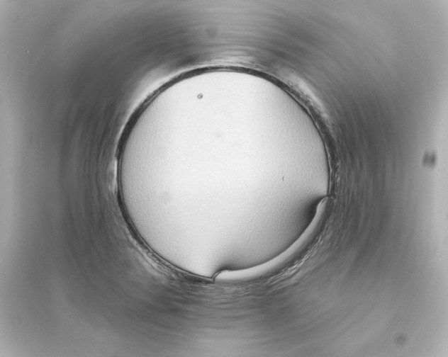 X0000093611324200711121203
