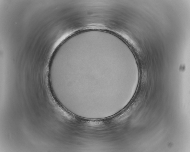 X0000093611325200711121203