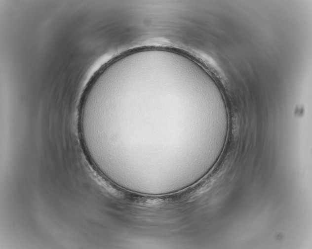 X0000093611326200711121203