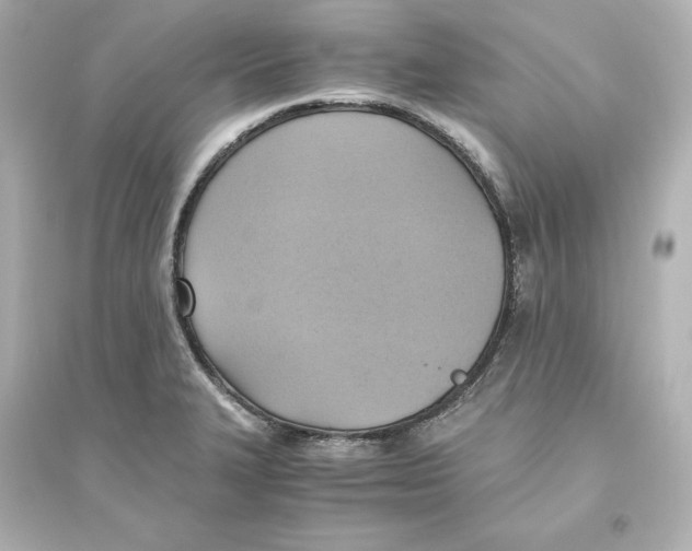 X0000093611327200711121203