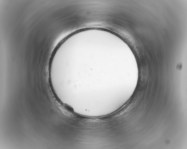 X0000093611328200711121203