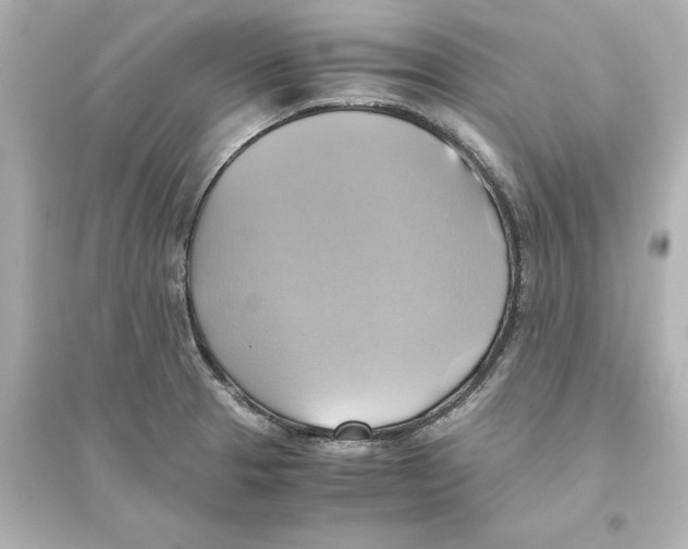 X0000093611329200711121203