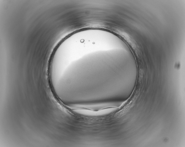 X0000093611331200711121203