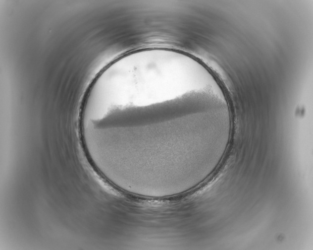 X0000093611333200711121203