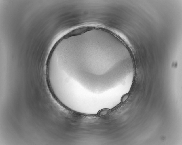X0000093611335200711121203