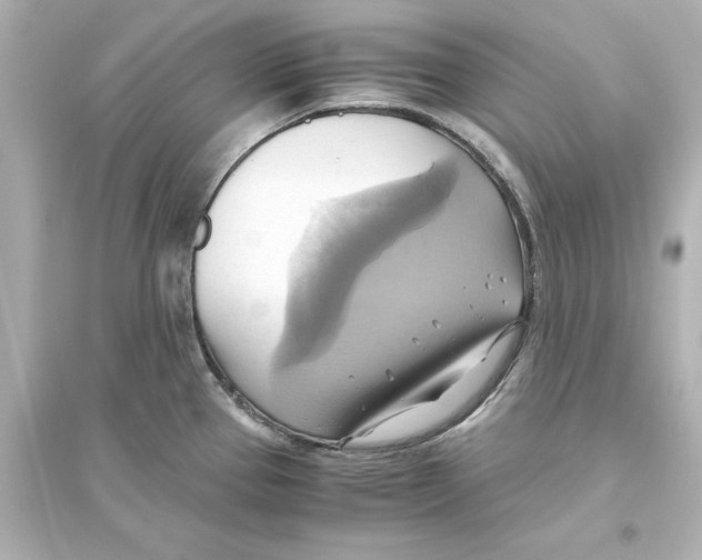 X0000093611337200711121203
