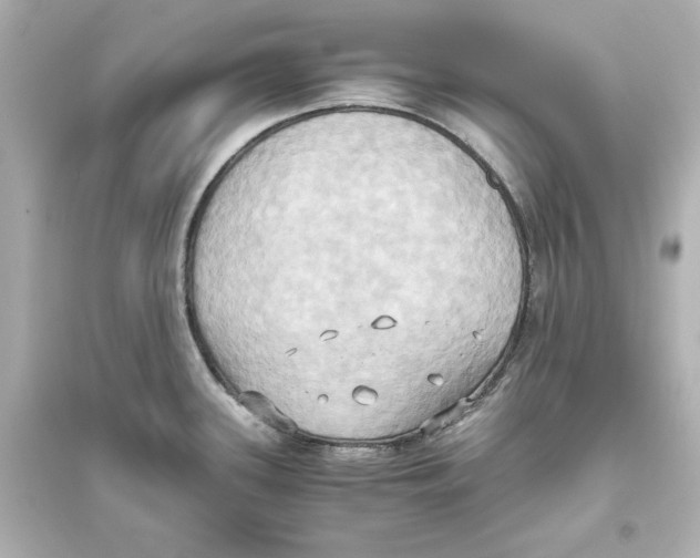 X0000093611339200711121203
